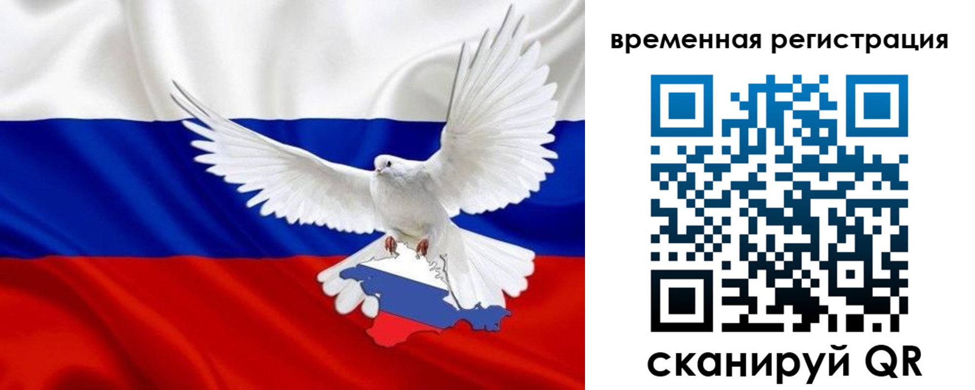 прописка законно в Калининграде